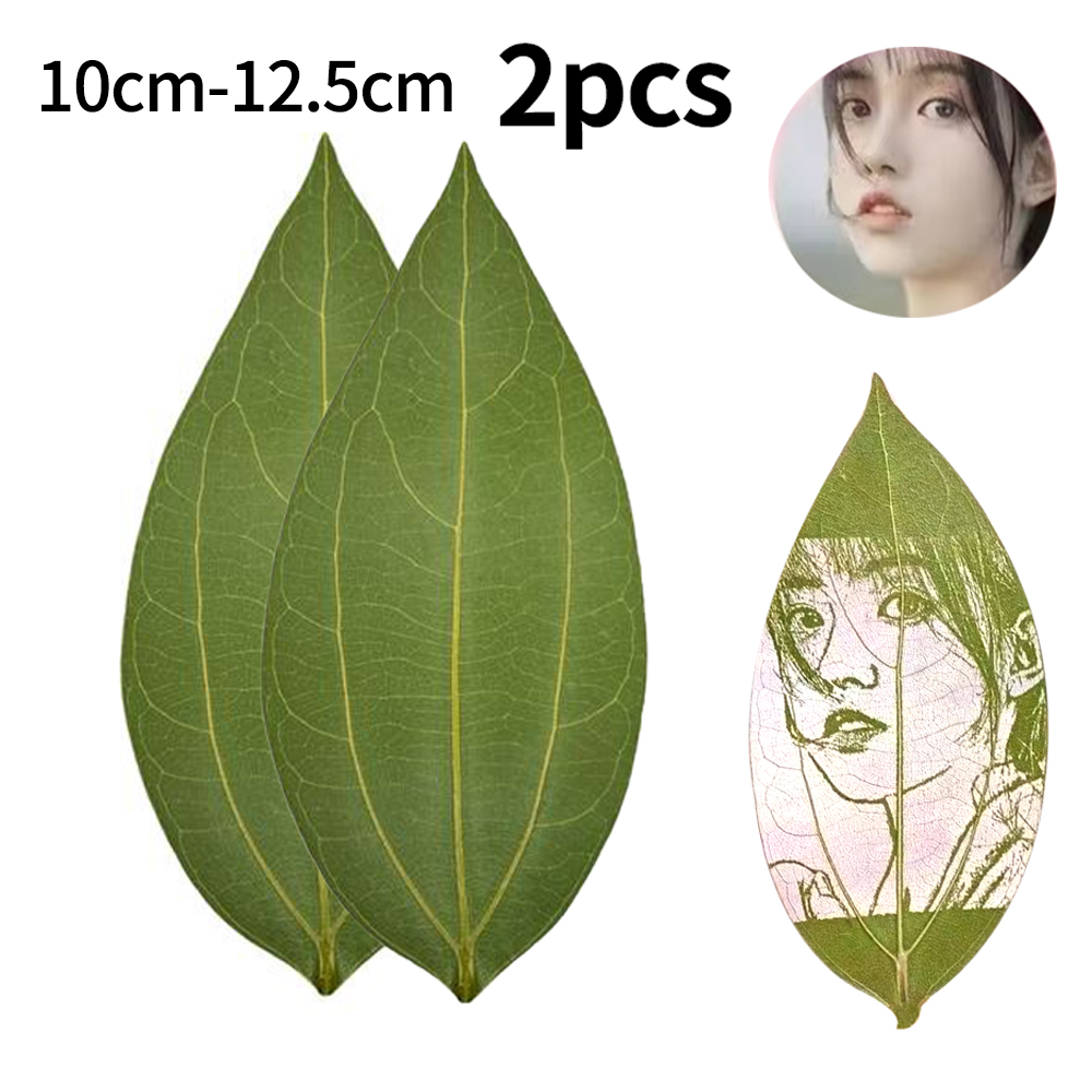 Industrial Laser Engraving Machine - 2pcs of leaves for laser engraving