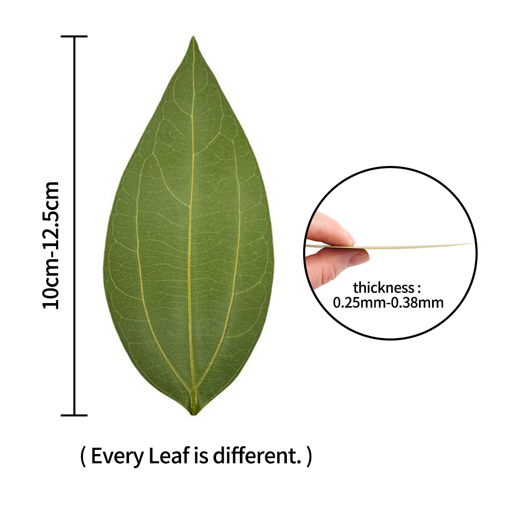 2pcs of leaves for laser engra - đánh giá và giá Industrial Laser Engraving Machine